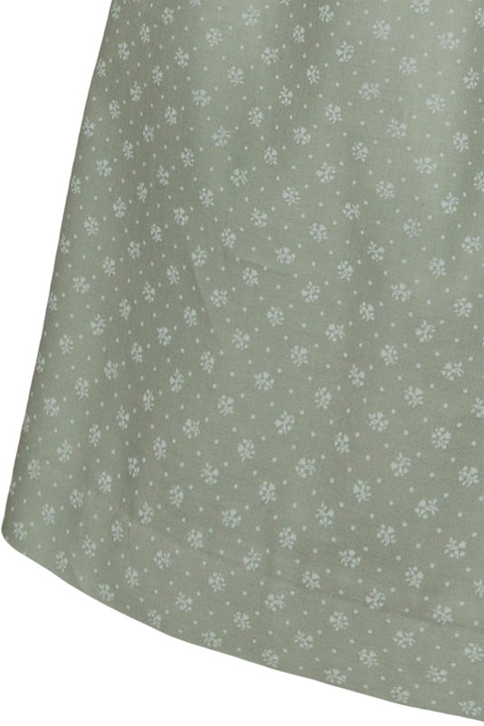 _62-SCHILF