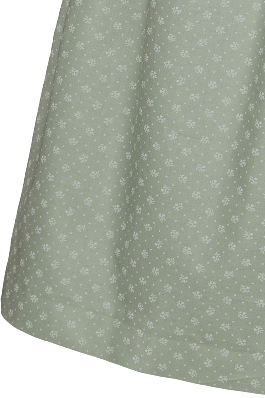 _62-SCHILF
