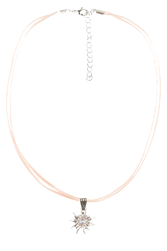 _11-APRICOT