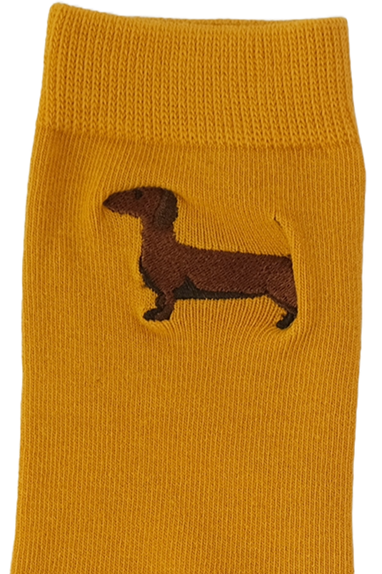 _BRAUN