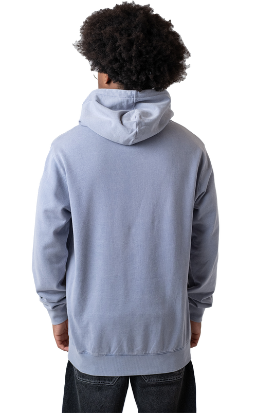 Herren Hoodie mit Aloisius-Druck